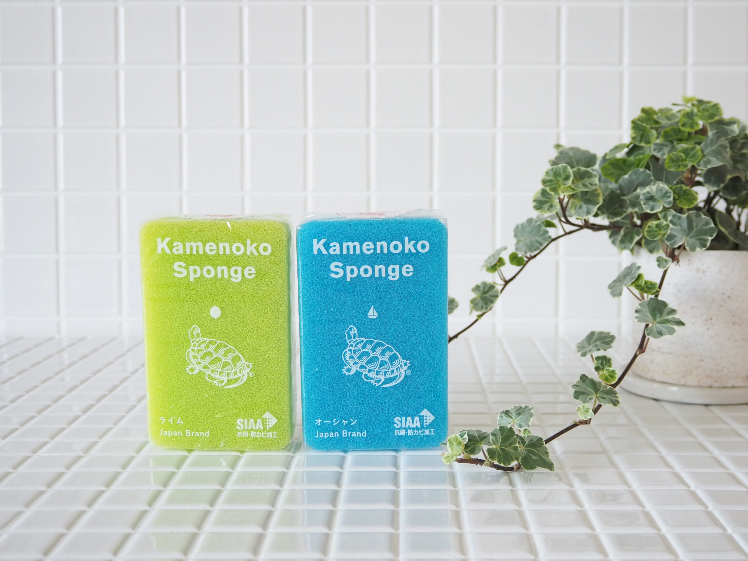 亀の子スポンジ 夏の限定色 発売のお知らせ | 亀の子束子 公式ウェブ